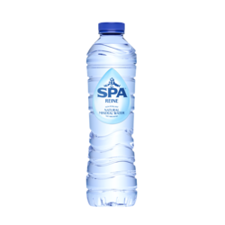 Spa Reine blauw 24x50cl pet
